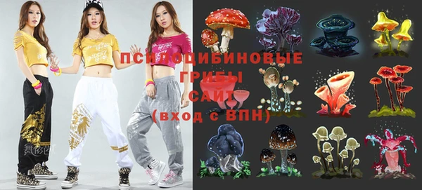 кокс Михайлов