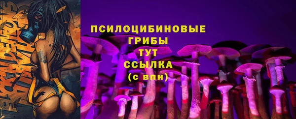 герыч Михайловск