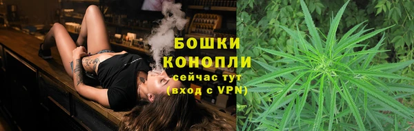 кокс Михайлов