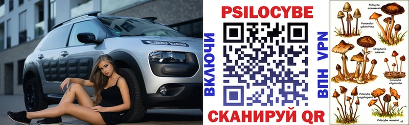 Купить закладки  Карабулак  Галлюциногенные грибы Psilocybine cubensis 